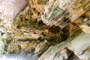 Mağaranın içinde 9 numara.