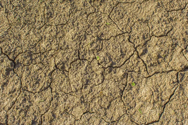 Kuraklık, çatlamış toprak grisi. Yağmursuz toprak. arkaplan