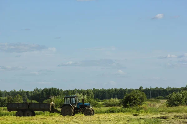 Tractor running in the field against a blue sky background — Stock Photo, Image