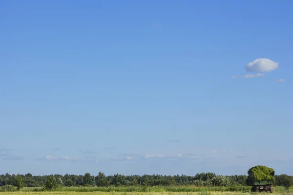 yeşil bir alana yüklenen bir yeşil çim ile izlemek