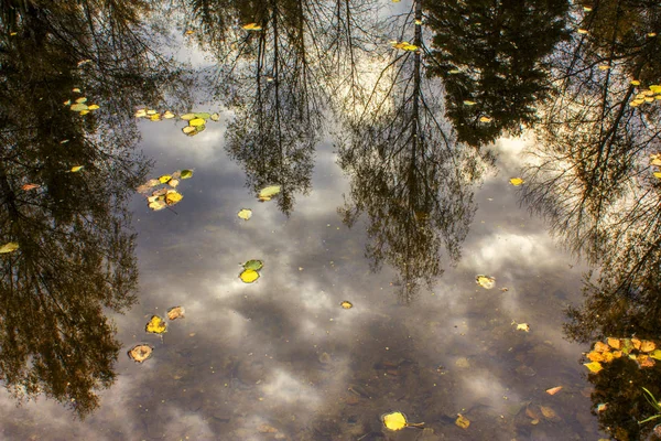 Αντανάκλαση των δέντρων και το γαλάζιο του ουρανού στο νερό μιας λίμνης δάσος — Φωτογραφία Αρχείου