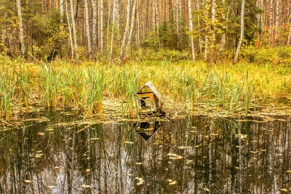 Casa de madera para pájaros en el agua de un bosque lago de otoño —  Fotos de Stock