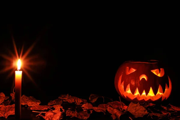 Karanlıkta parlayan korkunç bir Cadılar Bayramı Balkabağı