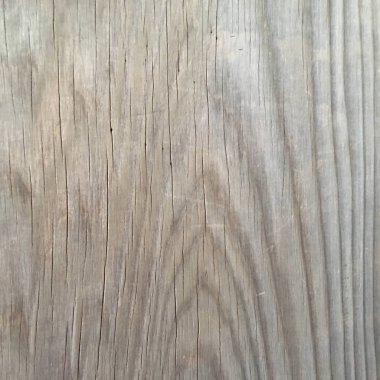 Ash Wood Grain