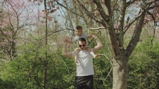 Το αγοράκι παίζει και διασκεδάζει με τον πατέρα του σε ένα πάρκο μια ηλιόλουστη μέρα. — Αρχείο Βίντεο