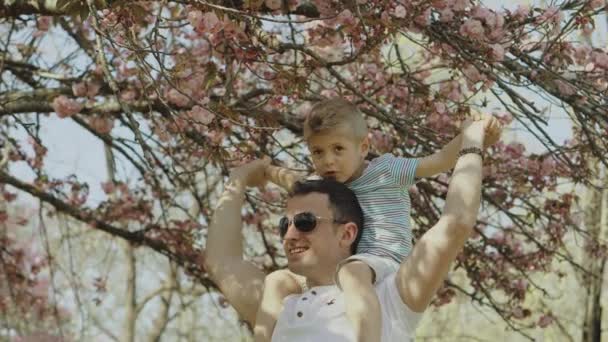 Menino brincando e se divertindo com seu pai em um parque em um dia ensolarado — Vídeo de Stock