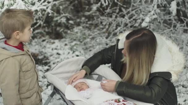 Jovem e elegante mãe com sua pequena filha e filho bonito no parque de neve de inverno — Vídeo de Stock