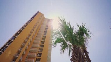 Otellerin manzarası harika Palmiyeler güneş ve kumsal 