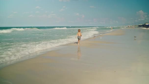 El niño está corriendo jugando con gaviotas en la playa. Chico y gaviotas. Playa Ciudad de Panamá — Vídeos de Stock