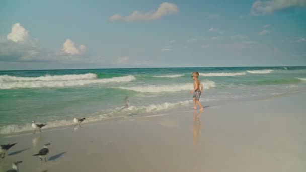 A kisfiú sirályokkal játszik a parton. Fiú és sirályok. Panama City strand — Stock videók
