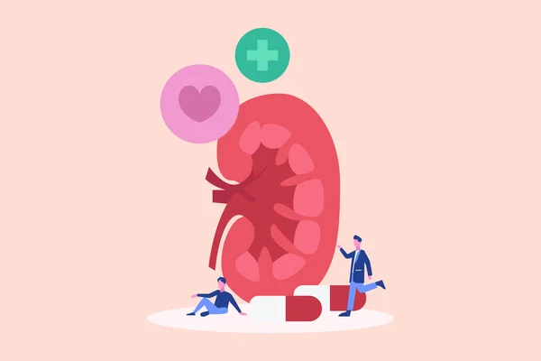 Kidney cartoon Vector Art Stock Images | Depositphotos Kidney cartoon Vector Art Stock Images | Depositphotos