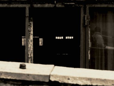 Suda yeşil başlı ördek