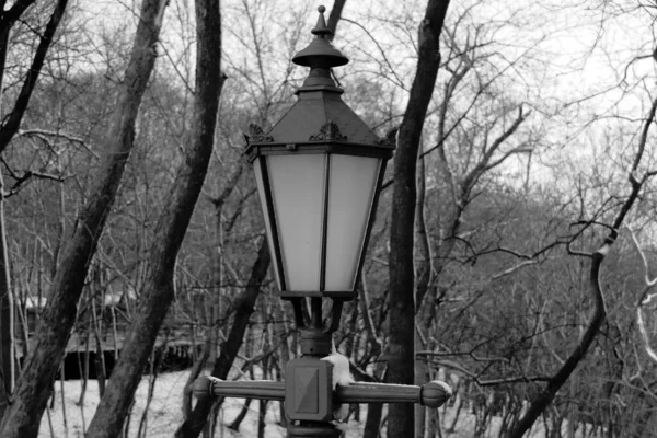 Prachtige Bronzen Lamp Oude Stijl — Stockfoto