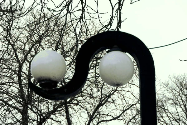 Lampada Giardinaggio Paesaggio Incredibilmente Sagomato — Foto Stock