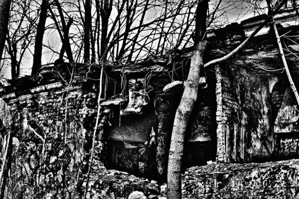 Destroyed house on a desolate land.