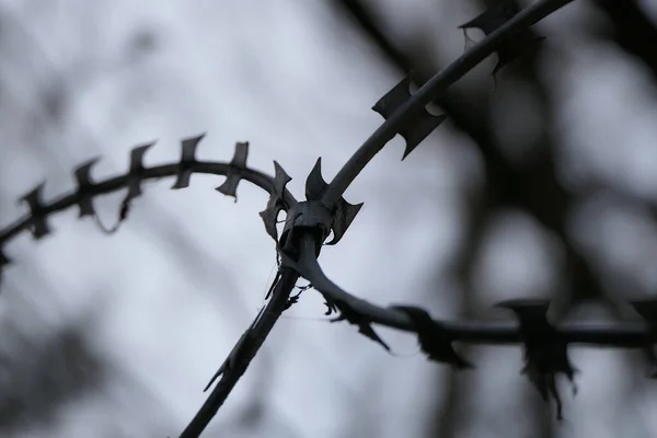 Mystical Abstraction Hard Barbed Wire — Stock Photo, Image