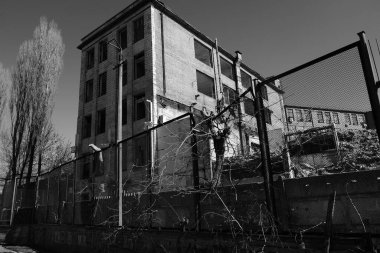 Çok garip bir resim, eski ağaçlar zaten kesilmiş, ama onlar paslı bir çite filizlenmiş gibi bazı parçaları atamadı.