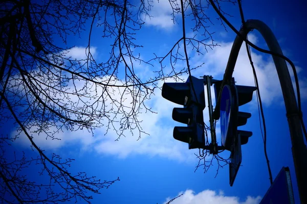 Takken Lichte Wolken Een Groot Verkeerslicht Tegen Een Heldere Hemel — Stockfoto