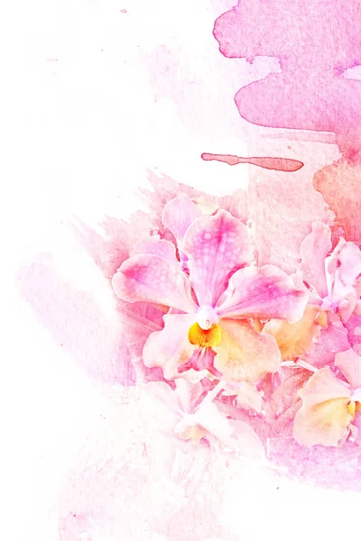 Illustration aquarelle fleur . — Photo