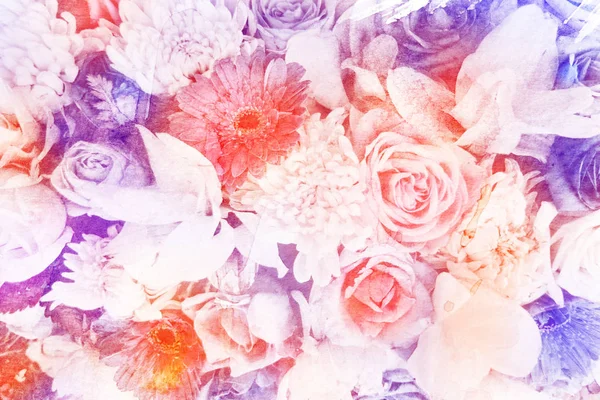 꽃 수채화 그림. — 스톡 사진