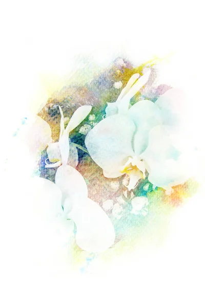 Virág akvarell illusztráció. — Stock Fotó