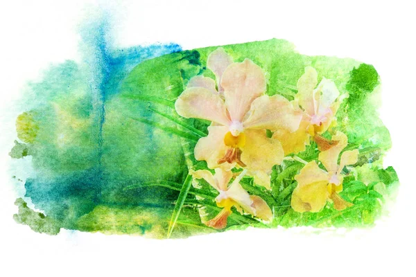 Flower watercolor illustration. — Stock Photo, Image