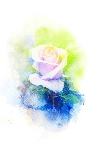 Blume Aquarell Illustration. — Stockfoto