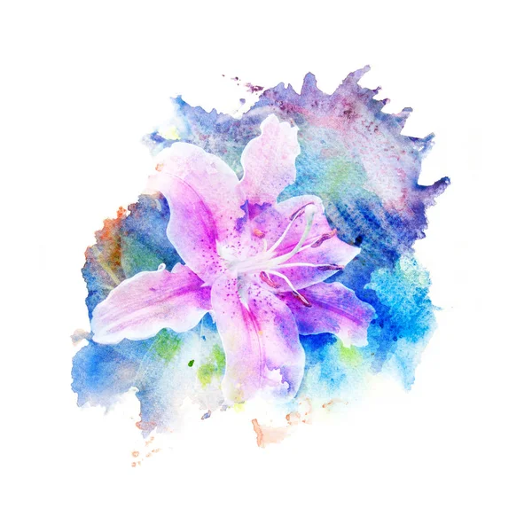 Akwarela ilustracja kwiat. — Zdjęcie stockowe