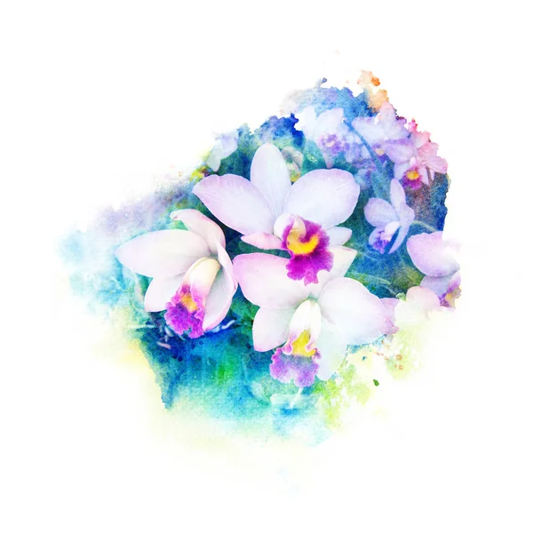 Blume Aquarell Illustration. — Stockfoto