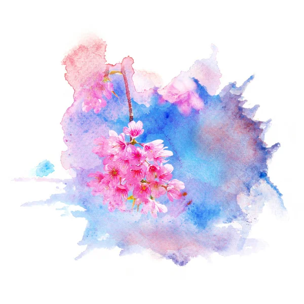 꽃 수채화 그림. — 스톡 사진