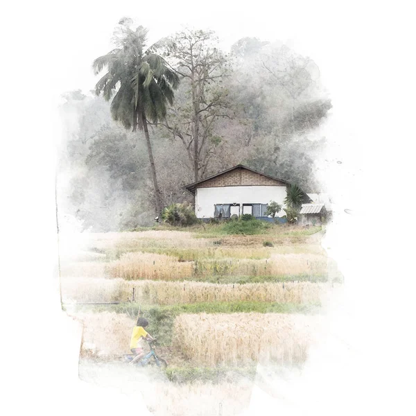 Rumah di sawah barley, lukisan cat cat air . — Stok Foto