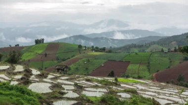 Zaman atlamalı pirinç Teras dağ ve bulut arka plan ile.