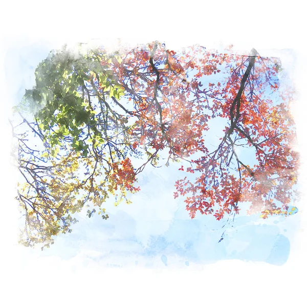 Kleurrijk blad met blauwe lucht. — Stockfoto