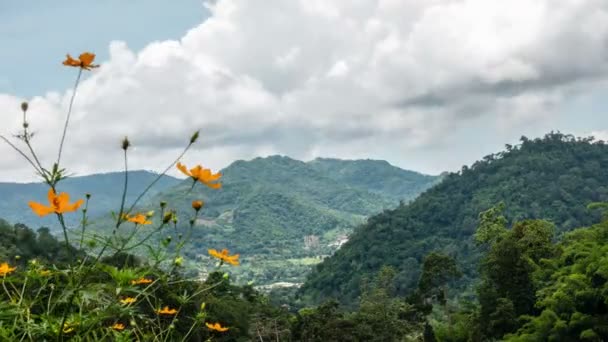 Flor con fondo de montaña y nube . — Vídeo de stock