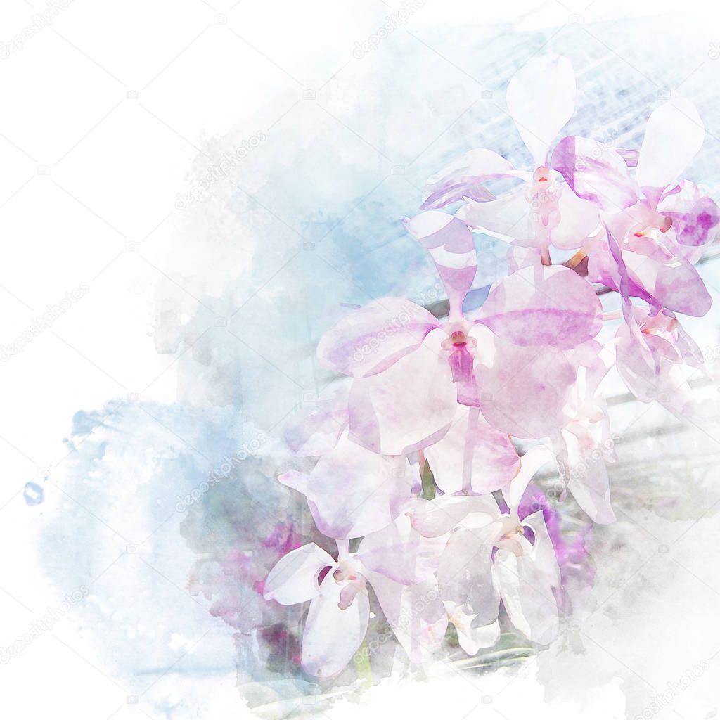 Illustration of beautiful blossom orchid.