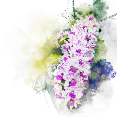 Güzel orkide resmi.