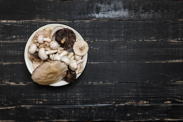 Syrové Houby Černém Dřevěném Stole Nebo Prknech Mladé Žampiony Tricholoma — Stock fotografie