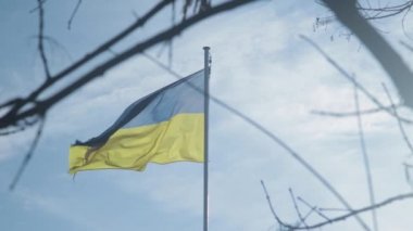 Ukrayna 'nın mavi ve sarı çizgili bayrağı, güneşli kış günlerinde açık mavi gökyüzünde rüzgarda dalgalanıyor, bazı ağaç dallarından görülebiliyor. Yavaş çekim görüntüleri.