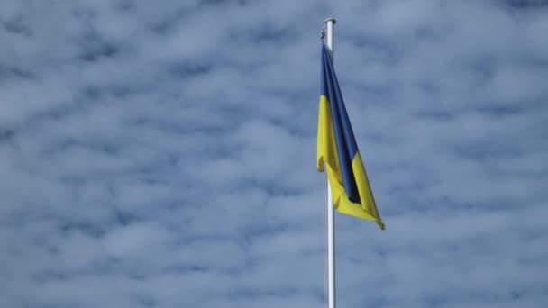 Twee Gekleurde Oekraïense Vlag Hangen Rijzen Fladderen Wind Blauwe Hemel — Stockvideo