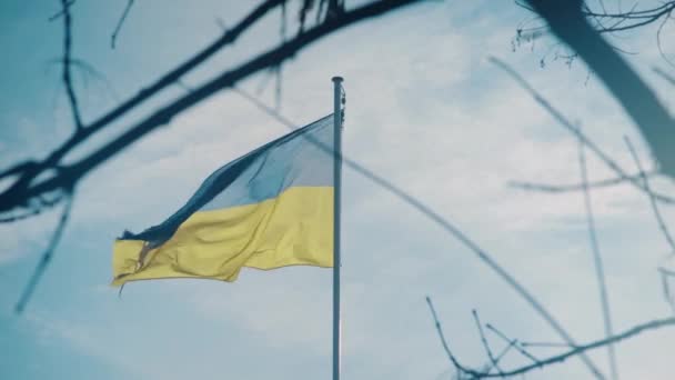 Bandeira Listrada Azul Amarela Ucrânia Balançando Vento Céu Azul Claro — Vídeo de Stock