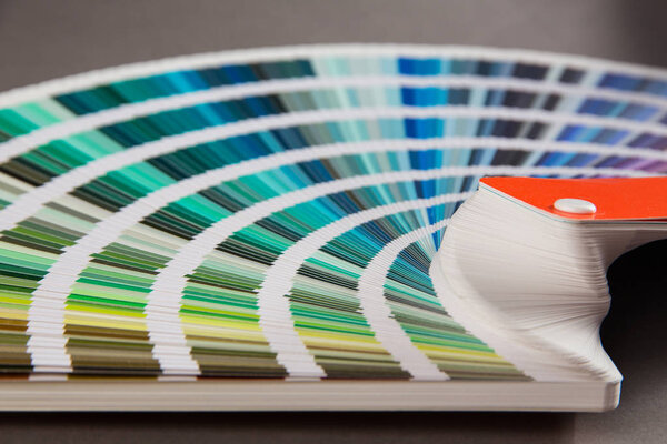 multicolored strips of paper spread out in a fan