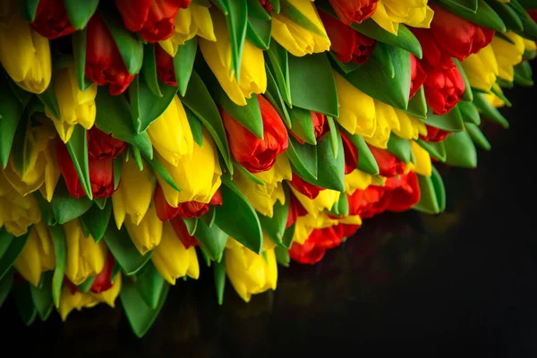 Červené Žluté Tulipány Černém Pozadí — Stock fotografie