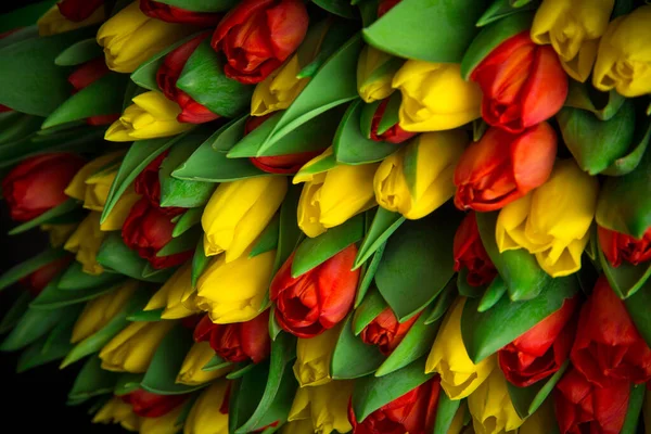 Red Yellow Tulips Black Background — Stock Photo, Image