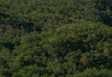 Park Doğal Belediyesi Das Andorinhas, Ouro Preto. Brezilya