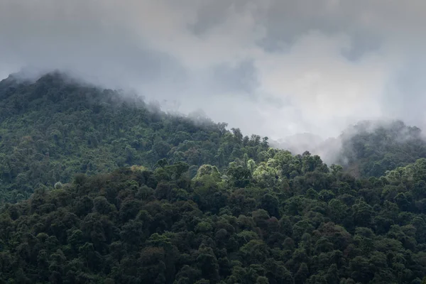 多雾和茂密的山景 — 图库照片