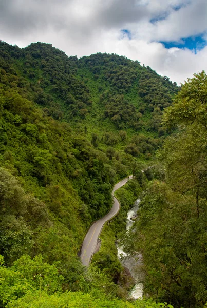 郁郁葱葱的热带雨林风景中蜿蜒曲折的道路 — 图库照片