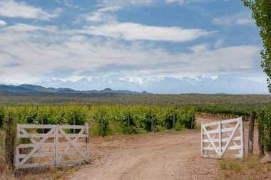 Arka planda karlı zirve dağları olan üzüm bağının ahşap kapı girişinin resimsel kırsal manzarası. Uco Valley, Mendoza, Arjantin 'de bahar sezonu