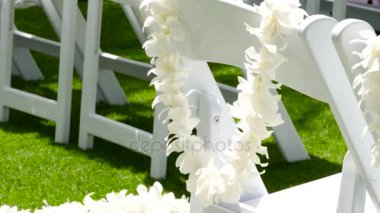 Sandalyenin üzerinde beyaz plumeria çiçek lei çelenk