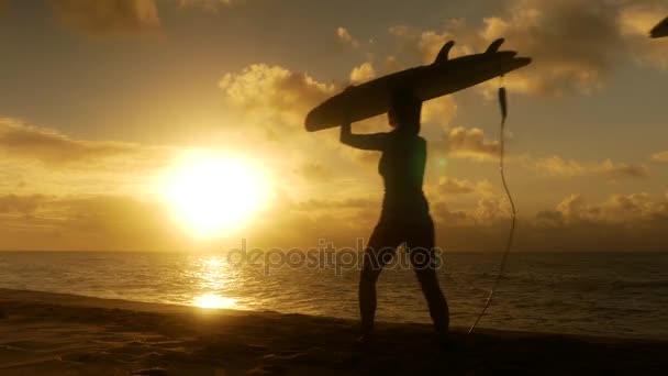 Pareja de surfistas en silueta caminando con largas tablas de surf al atardecer en la playa — Vídeos de Stock