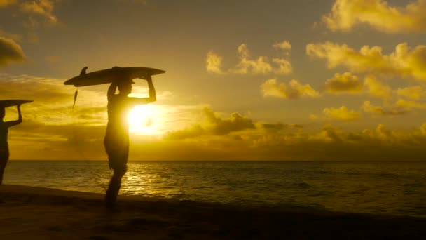 Surferpaar in Silhouette spaziert mit langen Surfbrettern bei Sonnenuntergang am Strand — Stockvideo